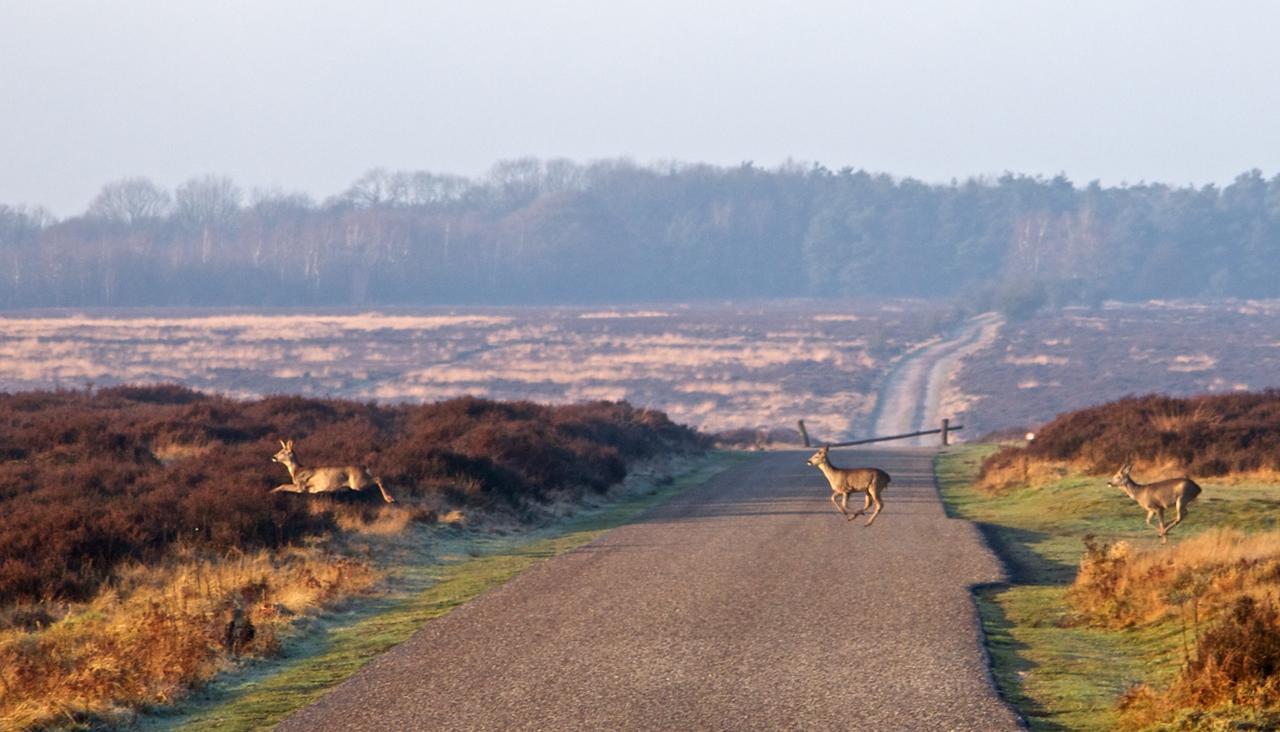 Postillion Amersfoort Veluwemeer พุทเทิน ภายนอก รูปภาพ